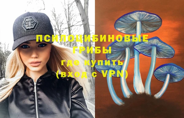 гашик Зеленодольск