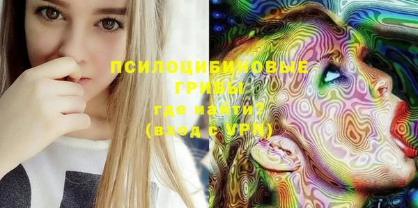 ГАЛЛЮЦИНОГЕННЫЕ ГРИБЫ Зеленокумск