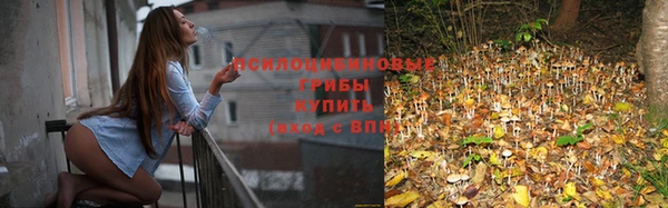 гашик Зеленодольск