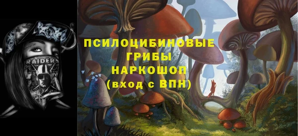 ГАЛЛЮЦИНОГЕННЫЕ ГРИБЫ Зеленокумск