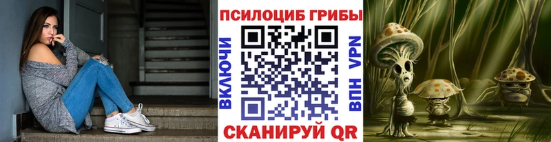 Псилоцибиновые грибы MAGIC MUSHROOMS  Шлиссельбург 