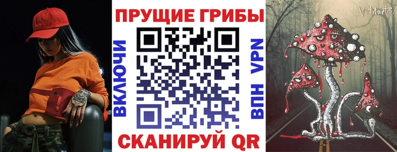 Галлюциногенные грибы Psilocybe Шлиссельбург